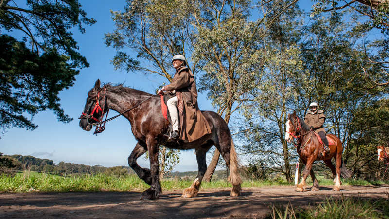 horse riding wine tour mornington peninsula